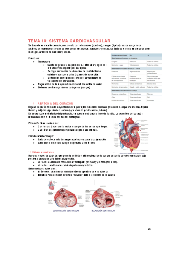 Miniatura del documento FISIOLOGIA-cardio-1.pdf