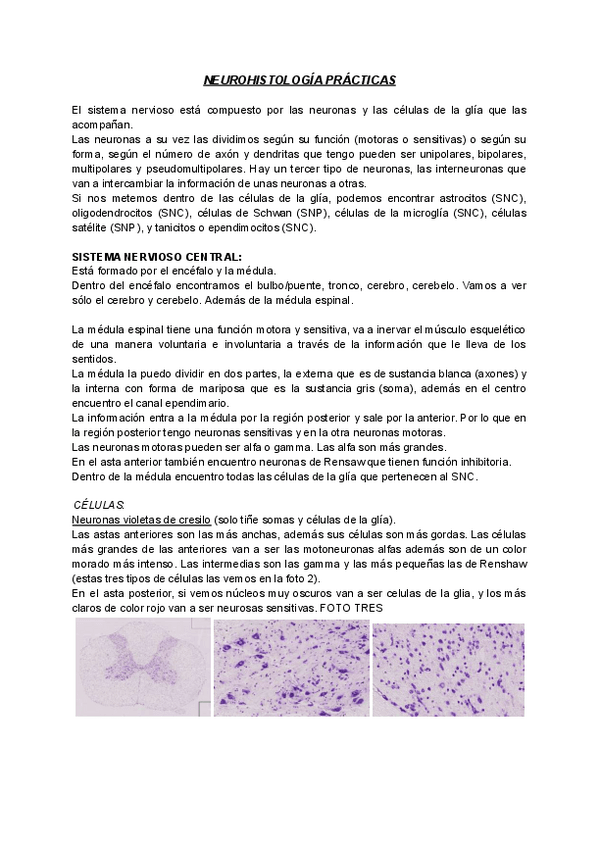 Miniatura del documento Neurohistologia.pdf