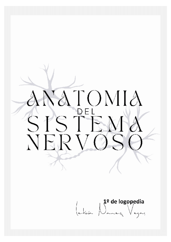 Miniatura del documento ResumenSNtema1-al-5.pdf
