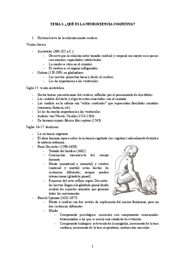Miniatura del documento neurociencia-cognitiva-completa-Charo.pdf