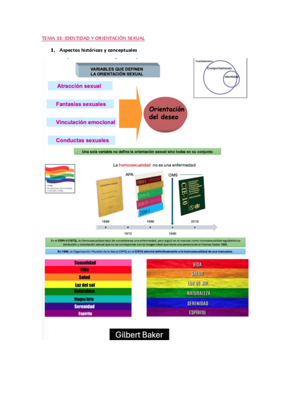 Miniatura del documento T13.-Identidas-y-orientacion-sexual.pdf