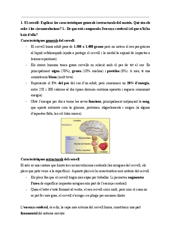 Miniatura del documento Preguntes-classe-6.-Encefal.pdf