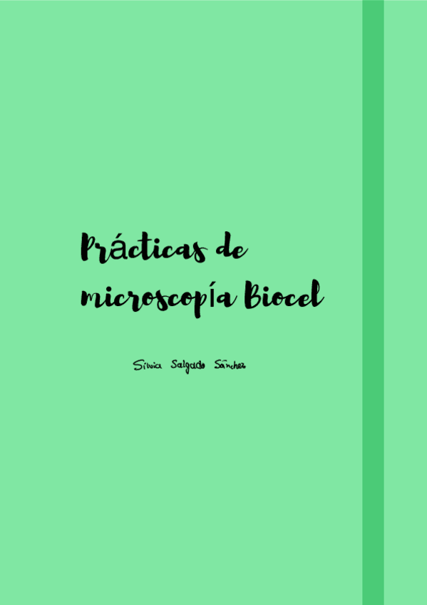 Miniatura del documento Practicas-biocel.pdf