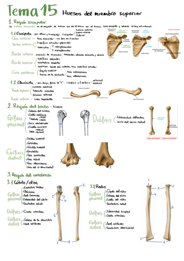 Miniatura del documento Bloque-3-brazo.pdf