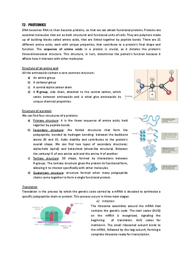 Miniatura del documento T3-Proteomics.pdf