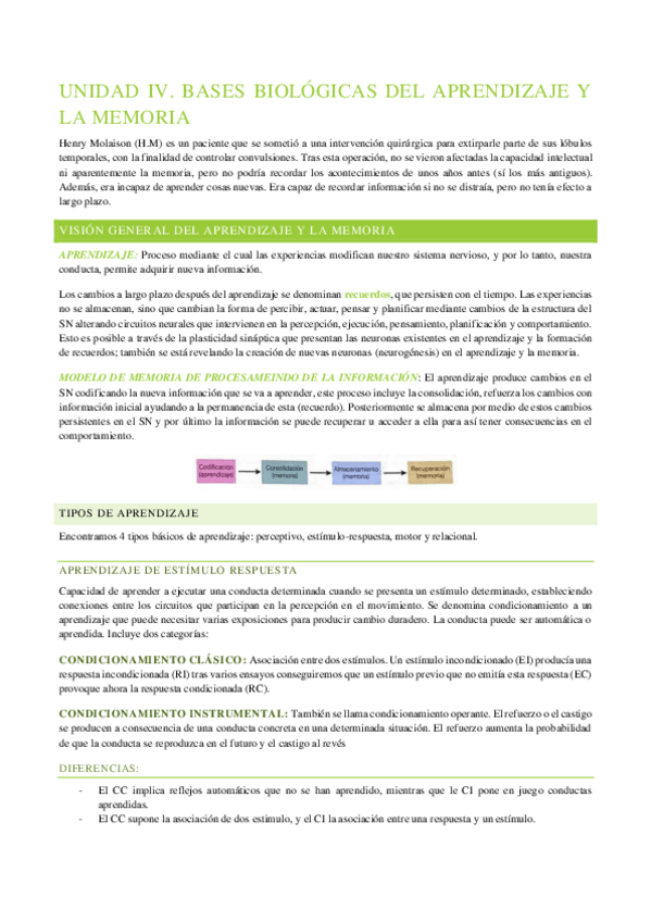 Miniatura del documento UNIDAD-IV-neurociencia.pdf
