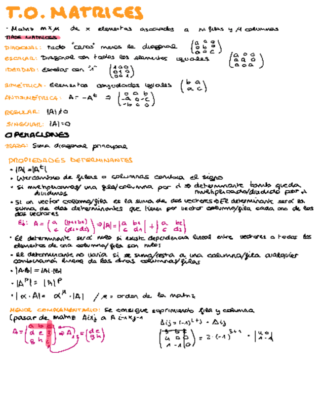 Miniatura del documento T0-Y-T1-MATRICES-Y-ESPACIOS-VECTORIALES.pdf