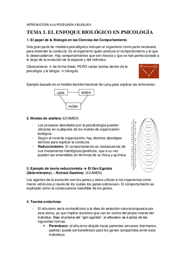 Miniatura del documento APUNTES-INTRO-II-BLOQUE-II.pdf