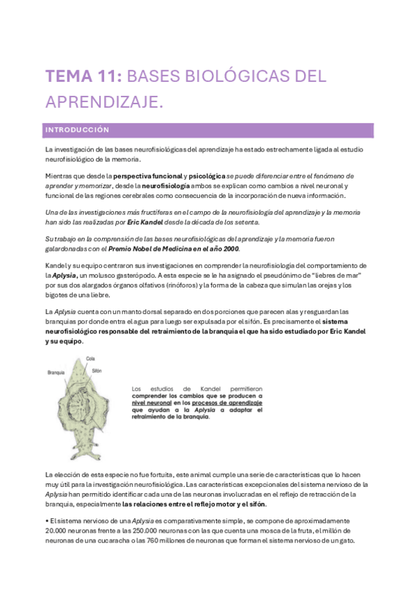 Miniatura del documento TEMA-11-MEMORIA.pdf