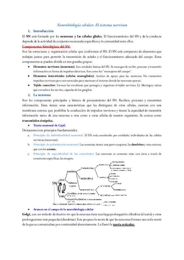 Miniatura del documento Tema-3-psicobiologia.pdf