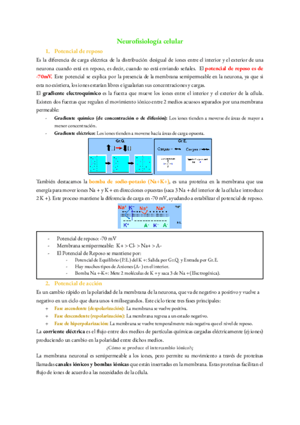 Miniatura del documento Tema-4-Psicobiologia.pdf