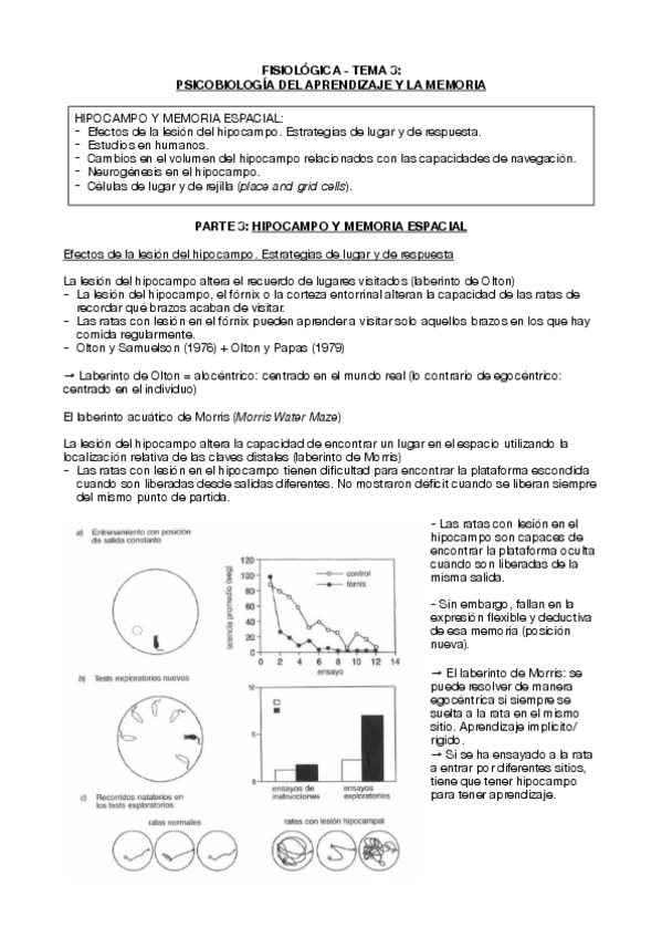 Miniatura del documento Tema-3-fisiologica-parte-3-hipocampo-y-memoria-espacial.pdf