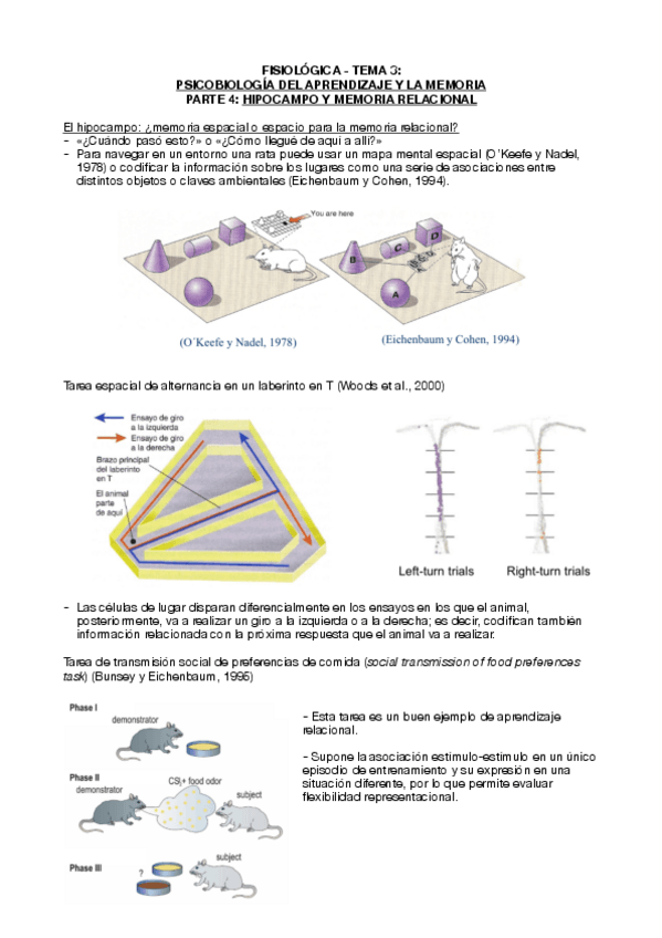 Miniatura del documento Tema-3-fisiologica-parte-4-hipocampo-y-memoria-relacional.pdf