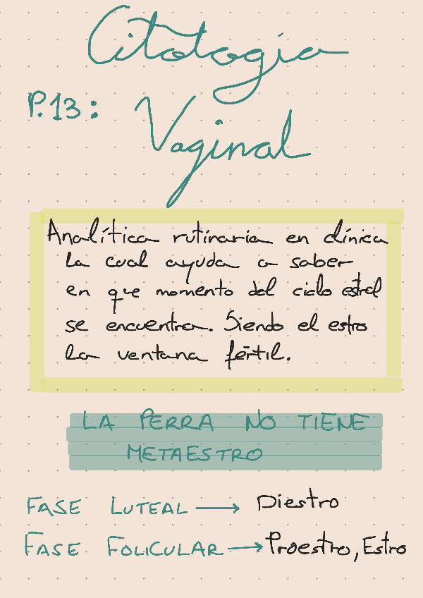 Miniatura del documento P-13-Citologia-Vaginal.pdf