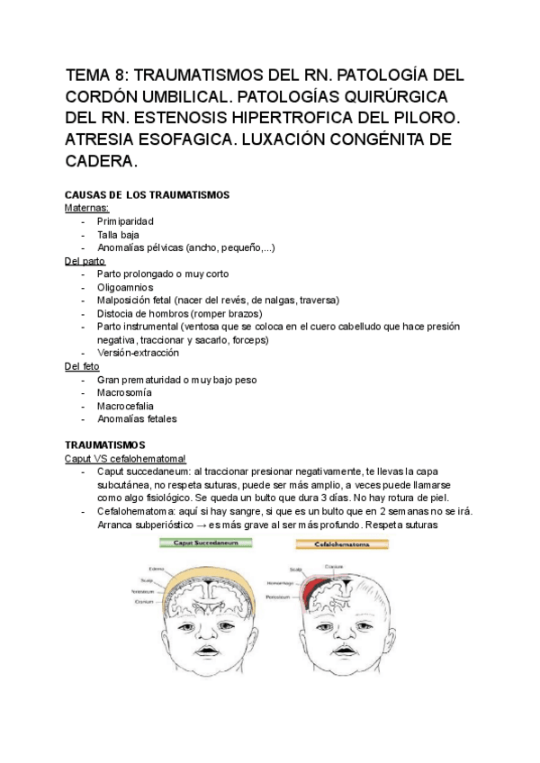 Miniatura del documento TEMA-8-Infancia-TRAUMATISMOS-DEL-RN.pdf