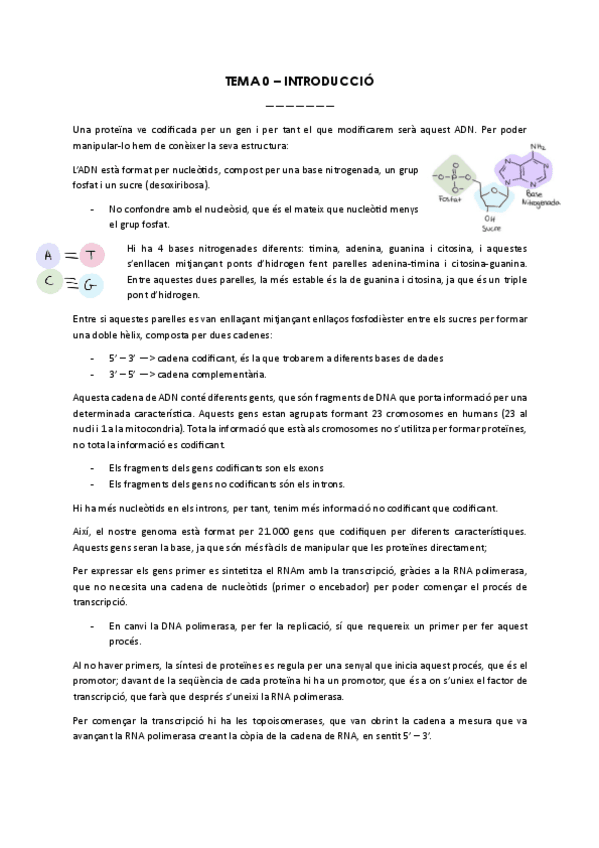 Miniatura del documento TOT-EL-TEMARI-2024-2025.pdf