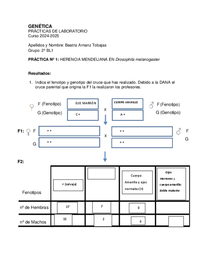 Miniatura del documento 24-25-Memoria-Laboratorio-Genetica.pdf