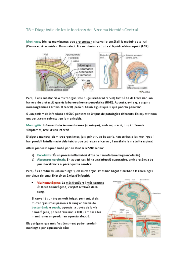 Miniatura del documento T8-Diagnostic-de-les-infeccions-del-SNC.pdf