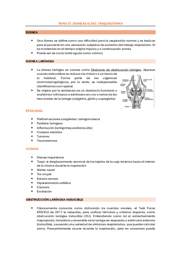 Miniatura del documento TEMA-37.-DISNEAS-ALTAS.-TRAQUEOTOMIA.pdf