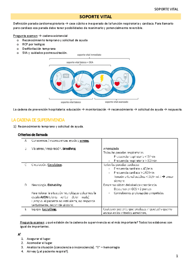Miniatura del documento SOPORTE-VITAL.pdf