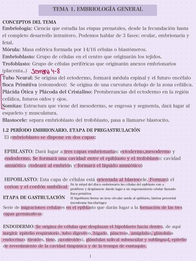 Miniatura del documento T1-EMBIOLOGIA.pdf