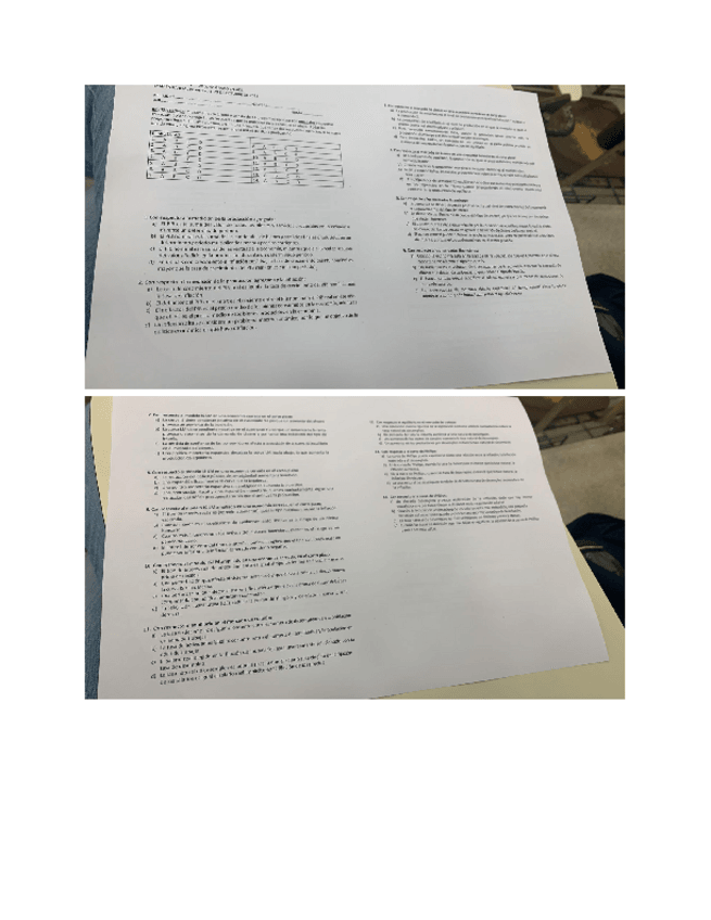 Miniatura del documento parcial-1-macro.pdf