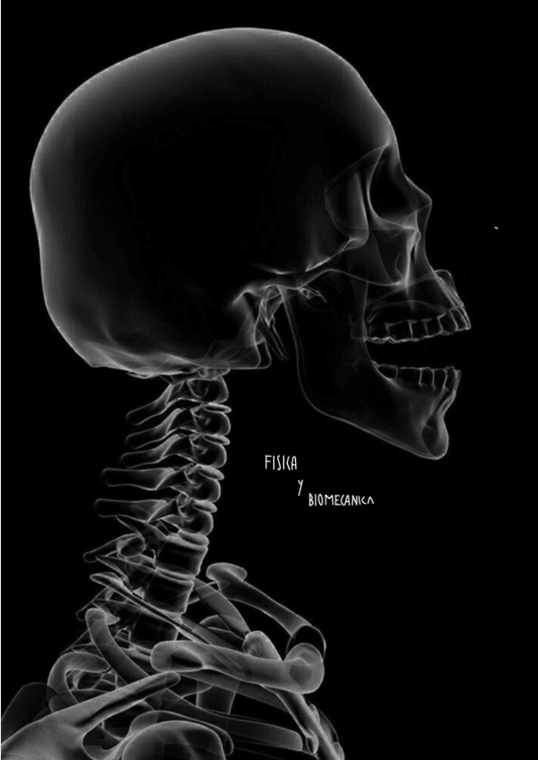 Miniatura del documento Fisica-aplicada-y-biomecanica.pdf