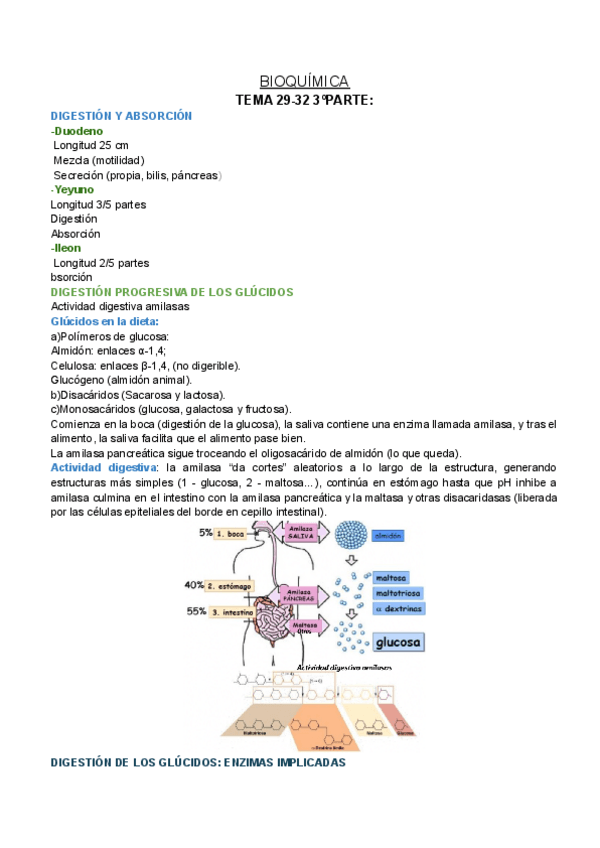 Miniatura del documento BQ-T29-32-3o.pdf