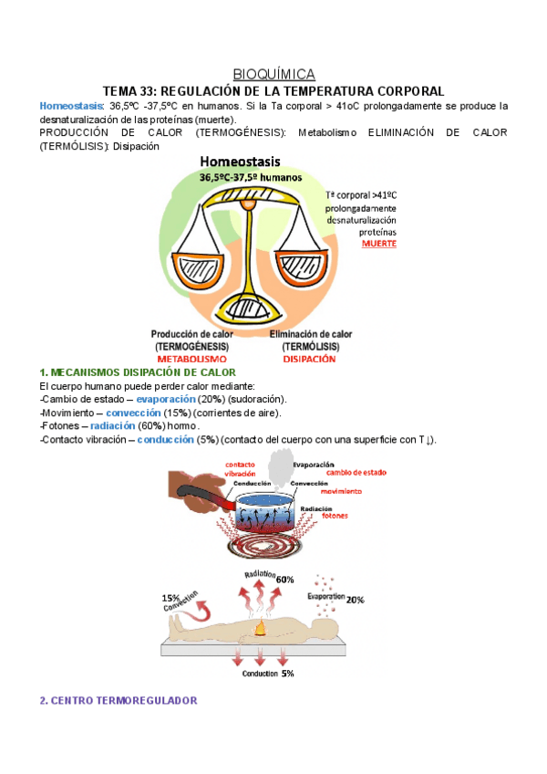 Miniatura del documento BQ-T33.pdf