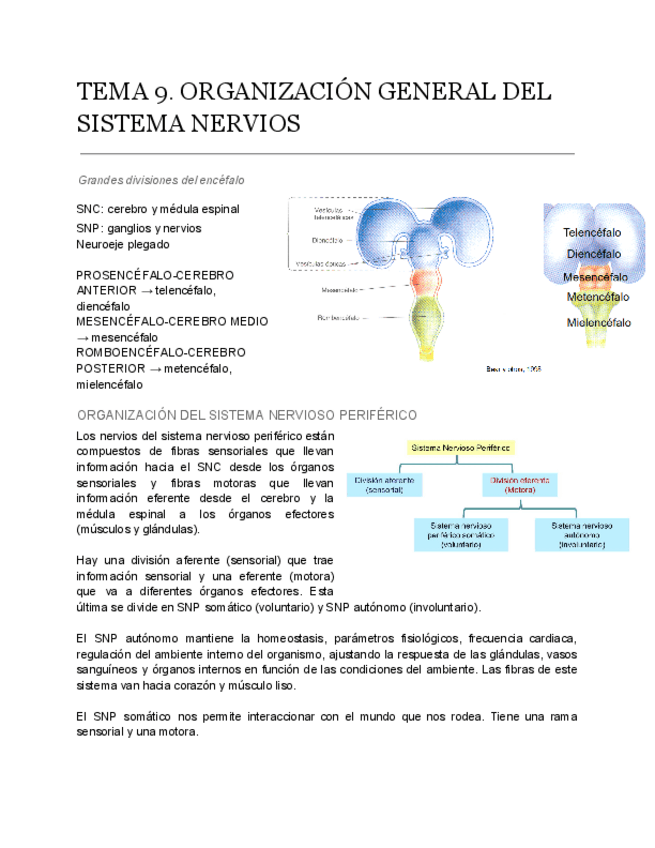 Miniatura del documento APUNTES-FPB-t9.pdf