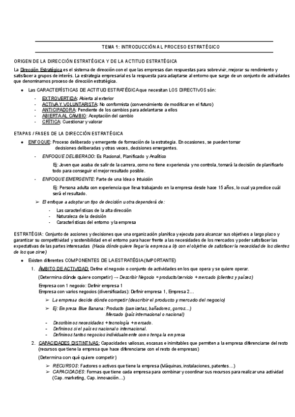 Miniatura del documento DIRECCION-ESTRATEGICA-APUNTES-COMPLETOS PACIAL I.pdf