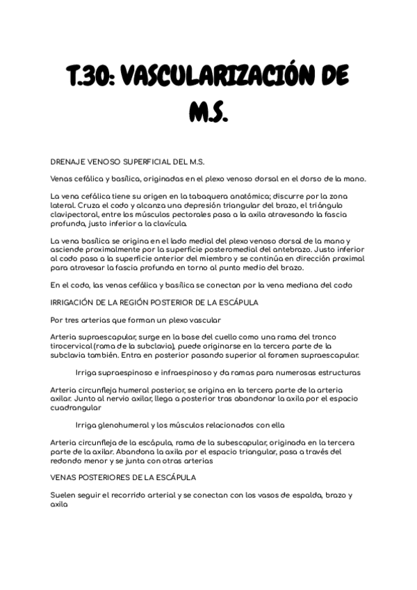Miniatura del documento T.30-VASCULARIZACION-MS-anato-I-24-25.pdf