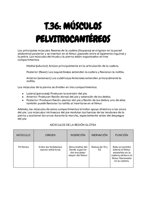 Miniatura del documento T.36-MUSCULOS-PELVI-TROCANTEREOS.pdf