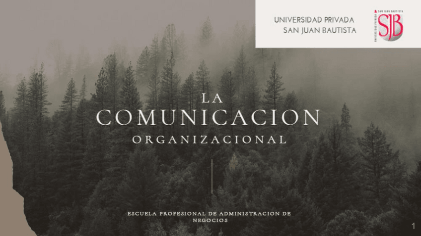 Miniatura del documento La-comunicacion-organizacional.pdf