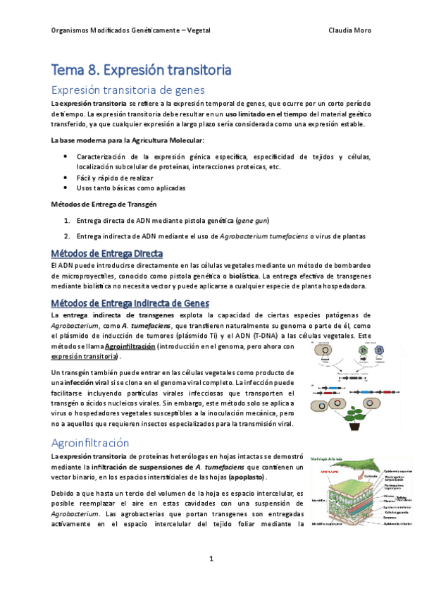 Miniatura del documento Tema-8.pdf