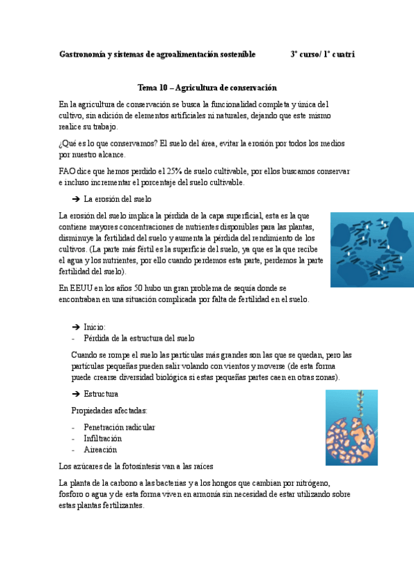 Miniatura del documento Tema-10-Agricultura-de-conservacion.pdf
