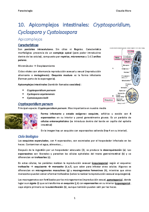 Miniatura del documento Tema-10.pdf