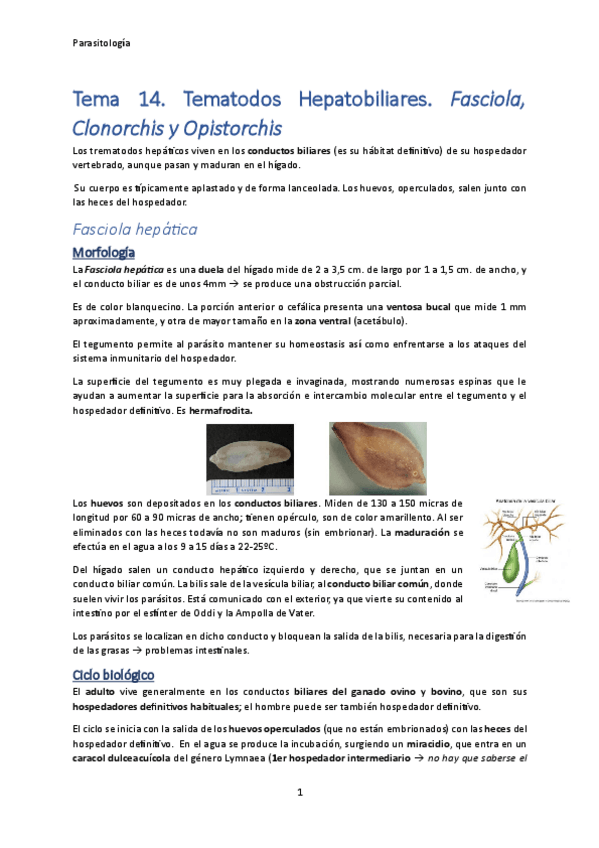 Miniatura del documento Tema-14.pdf