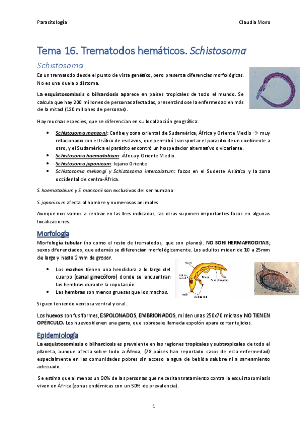 Miniatura del documento Tema-16.pdf