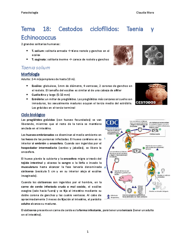 Miniatura del documento Tema-18.pdf