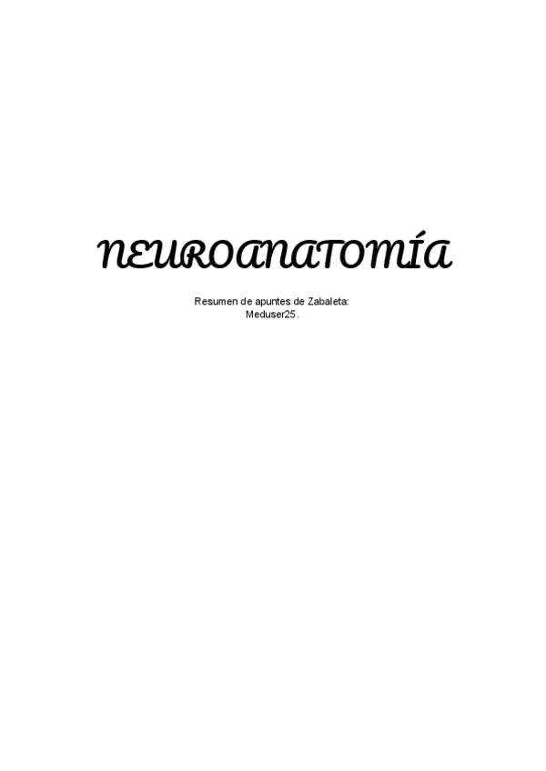 Miniatura del documento NEUROANATO-Resumen-Zabaleta..pdf