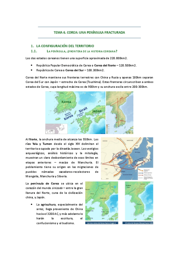 Miniatura del documento 06. COREA. UNA PENÍNSULA FRACTURADA.pdf