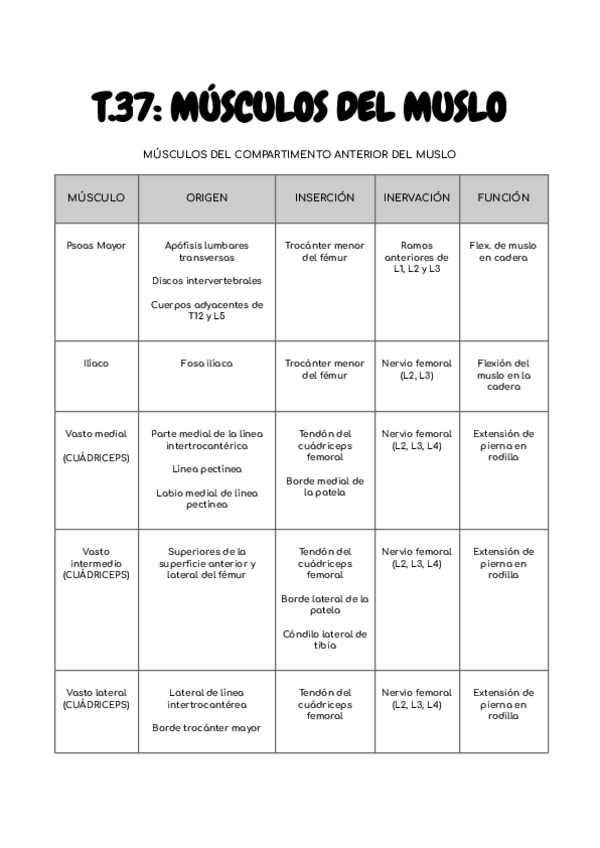 Miniatura del documento T.37-MUSCULOS-DEL-MUSLO.pdf
