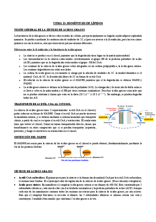 Miniatura del documento TEMA-13.pdf