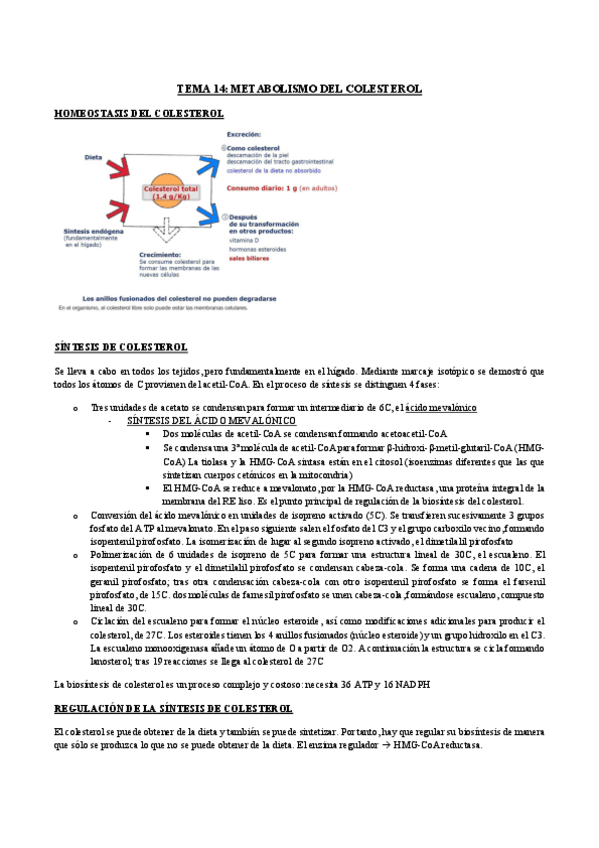 Miniatura del documento TEMA-14.pdf