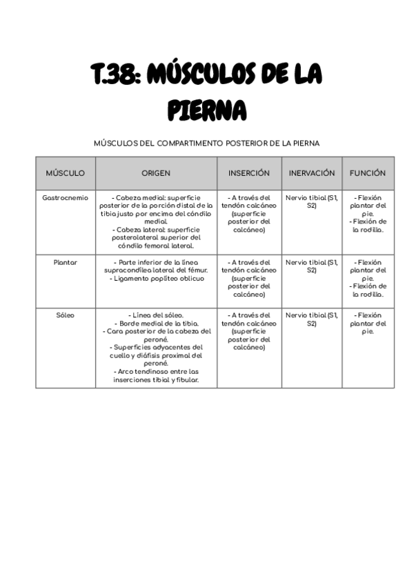 Miniatura del documento T.38-MUSCULOS-PIERNA-anato-I-24-5.pdf