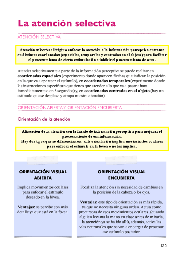 Miniatura del documento Percepción y atención apuntes T11 20242025.pdf