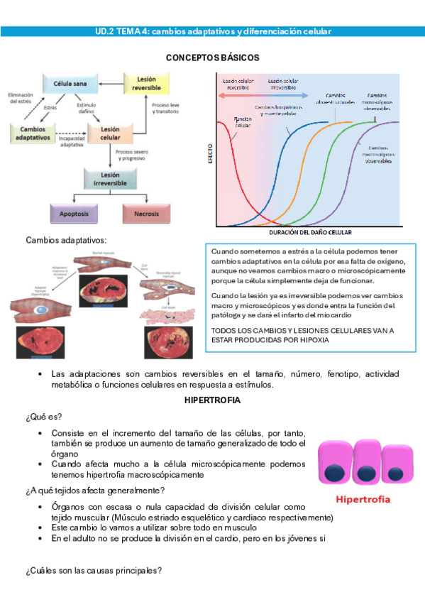 Miniatura del documento UNIDAD-2-apg.pdf