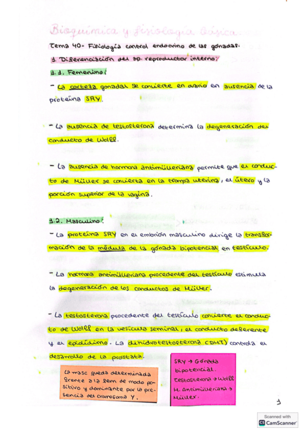 Miniatura del documento Bq-Fisiologia-temas-40-42.pdf