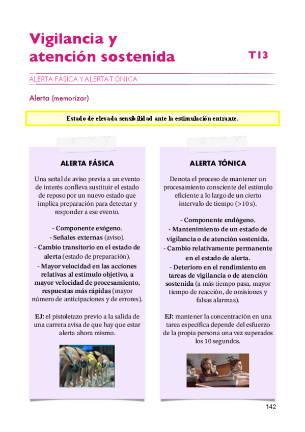 Miniatura del documento Percepción y atención apuntes T13 2024/2025.pdf